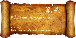 Méhes Alexandra névjegykártya